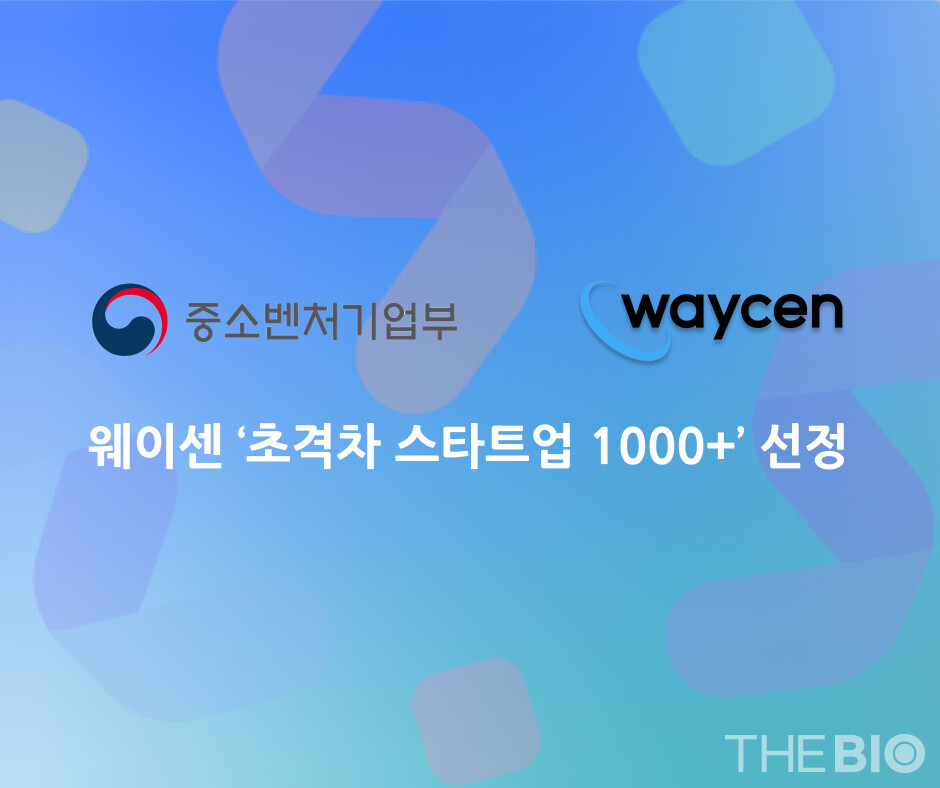 출처 : 웨이센