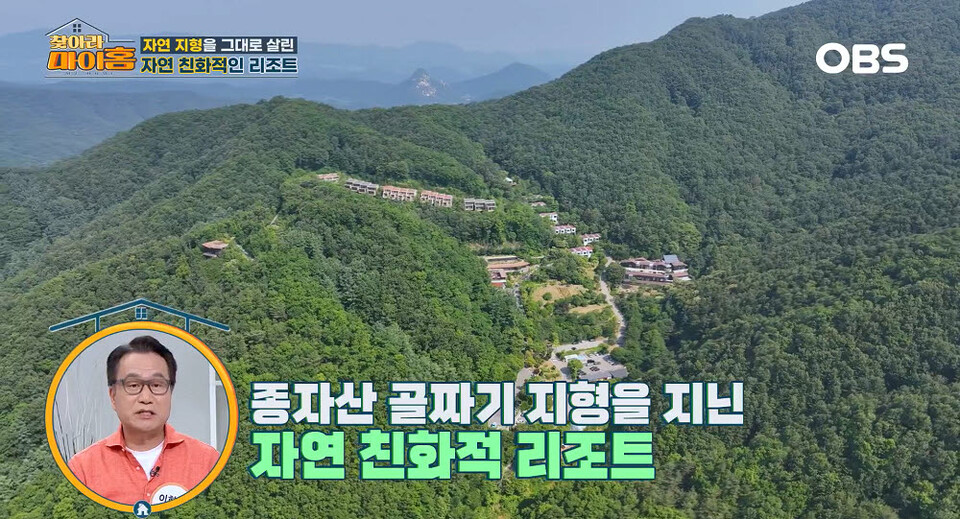 바카라사이트 추천 종자산 숲 속 전경 (출처 : OBS)