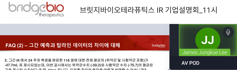 (출처 : 브릿지스피드 바카라 IR)