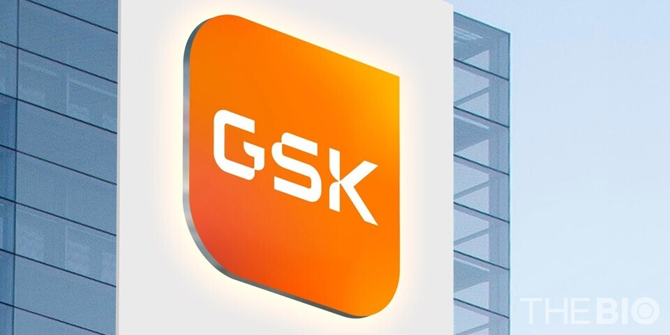 출처 : 글락소스미스클라인(GSK)