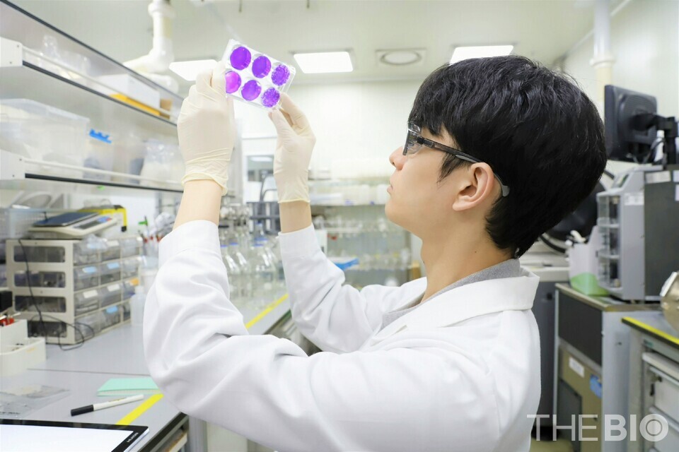 바카라사이트 총판 바카라사이트 총판 researchers are conducting analytical experiments on bird flu vaccine candidates. (Source: 바카라사이트 총판 바카라사이트 총판)