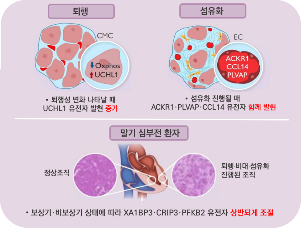 출처 : 서울아산병원