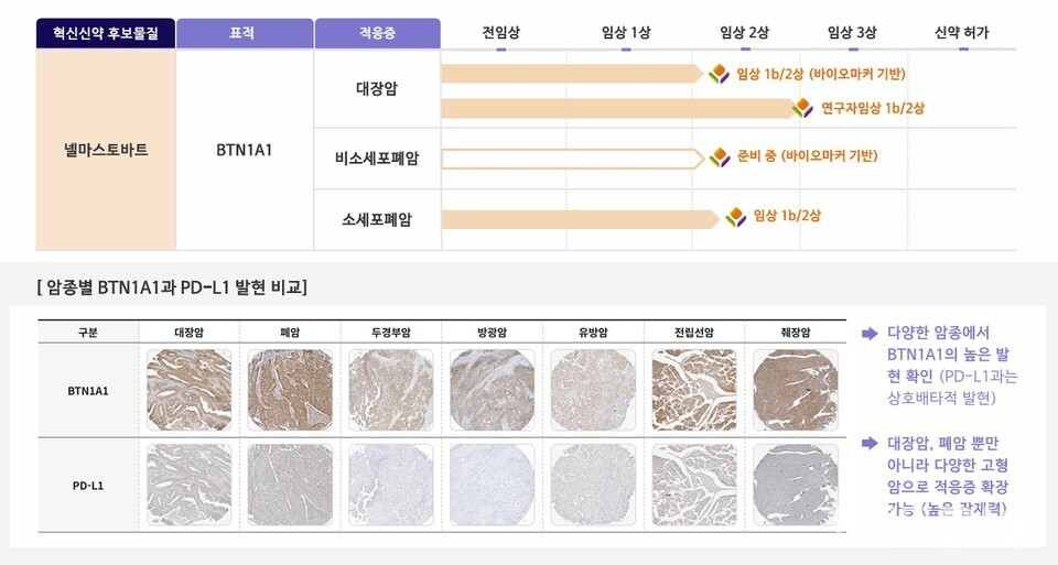 넬마스토바트 파이프라인 개발 현황 (출처 : 에스티큐브)