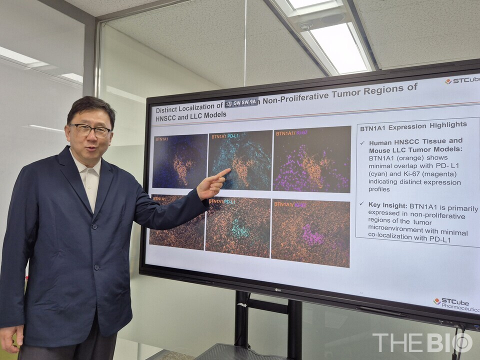 In a recent interview with THE BIO, Stephen Yoo, the Chief Scientific Officer (CSO) of STCube and CEO of STCube Pharmaceuticals (STCube’s U.S. subsidiary), highlighted the mutually exclusive expression patterns between BTN1A1 and PD-L1. BTN1A1 is the target of 먹튀없는 바카라사이트, the company’s lead candidate. (Source: STCube)