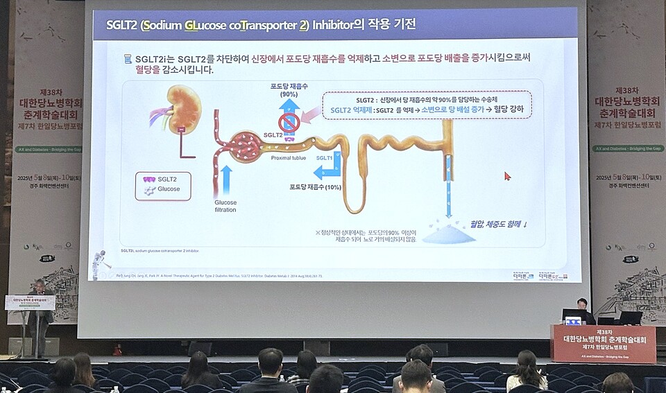 바카라사이트 벳위즈이 지난 8일부터 사흘간 경북 경주시 화백컨벤션센터에서 열린 ‘제38차 대한당뇨병학회 춘계학술대회 및 제7차 한일당뇨병포럼’에 참가했다. (출처 : 바카라사이트 벳위즈)