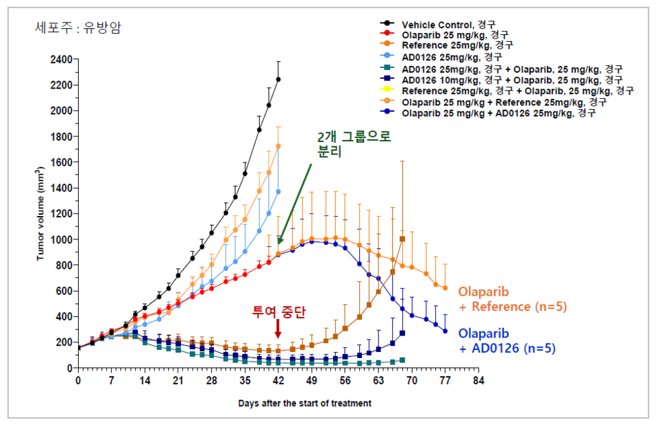 AD0126 (USP1 inhibitor: superior anticancer efficacy demonstrated in in vivo studies compared to competitor substances) (Source: 바카라 사이트 추천디시).