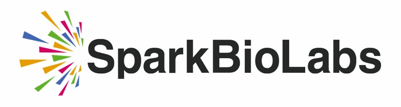 바카라사이트 검증