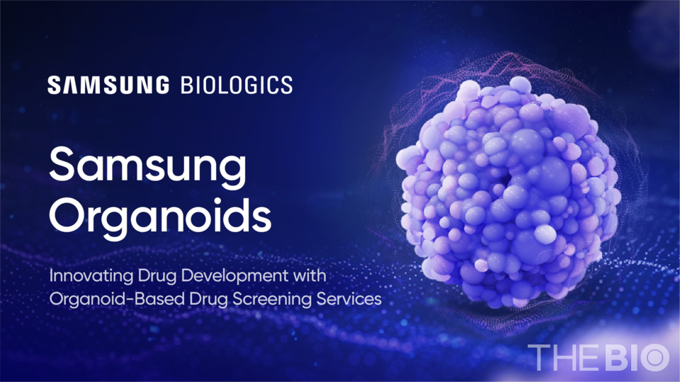 카지노 바카라 Organoids (Source: 카지노 바카라 카지노 바카라).
