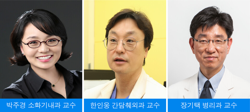 출처 : 메이저 바카라 사이트