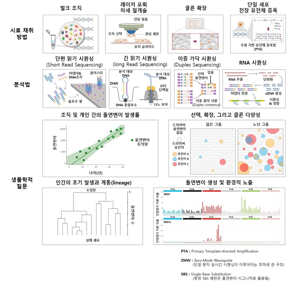 출처 : 연세대 의과대학