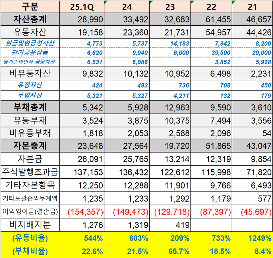 브릿지에볼루션 바카라 사이트 연도별 재무상태표 현황 (출처 : 더에볼루션 바카라 사이트 재구성)