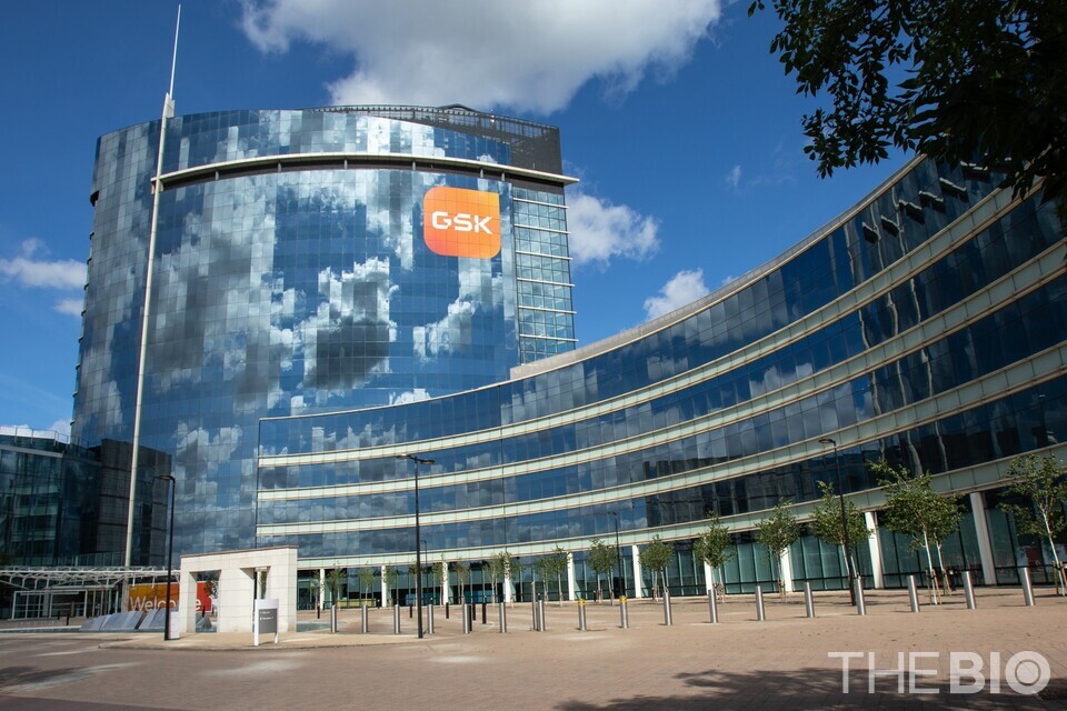 출처 : GSK
