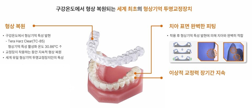 source : 스피드 바카라 사이트