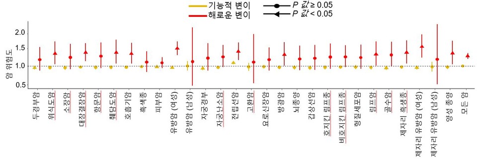 영국 바이오뱅크(UK Biobank)의 50만명에 달하는 우리카지노 바카라사이트체 및 임상 데이터를 분석한 결과, 연구팀이 구분한 해로운 우리카지노 바카라사이트 변이를 가진 사람은 그렇지 않은 사람보다 암 발병 위험이 약 1.4배 높은 것으로 나타났다. (출처 : 연세대 의과대학)