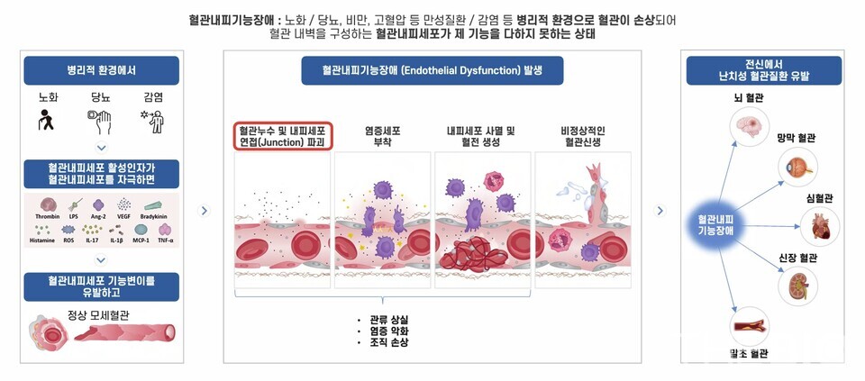 바카라사이트 제작 IR 자료 캡처 (출처 : 바카라사이트 제작 홈페이지)