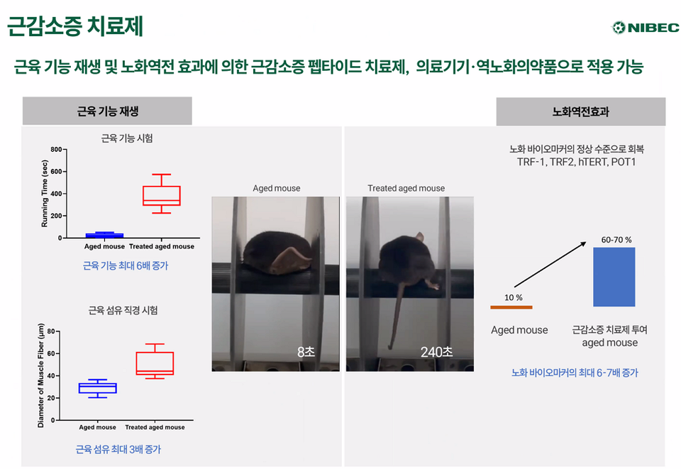 메이저 바카라사이트 근감소증 치료제 (출처 : 메이저 바카라사이트 IR 캡처)