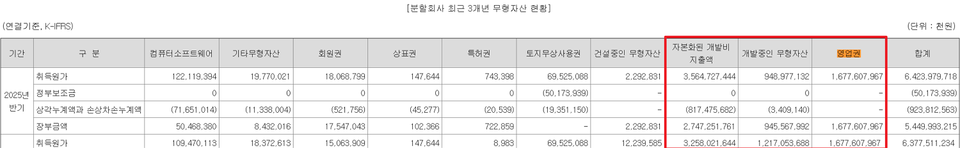 에볼루션 바카라 사이트로직스의 연결기준 무형자산 현황 (출처 : 에볼루션 바카라 사이트로직스 증권신고서)