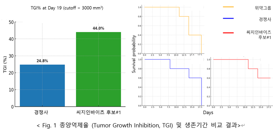 종양억제율 (Tumor Growth Inhibition, TGI) 및 생존기간 비교 결과. (출처 : CG인메이저 바카라츠)