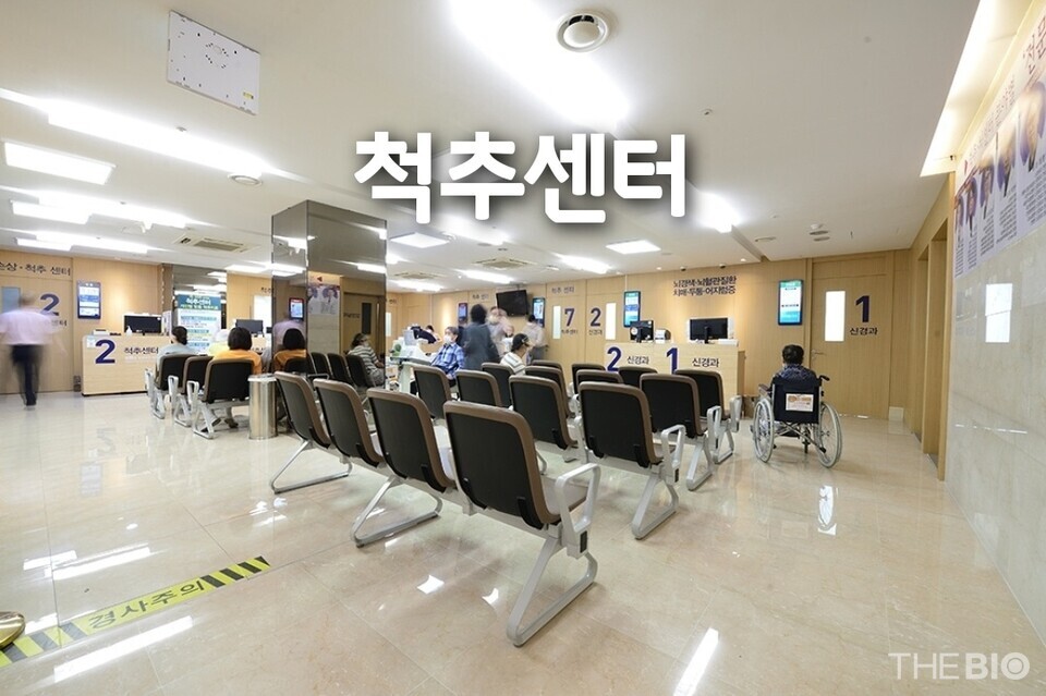 Hyundai Uvis 라이브 바카라사이트 Spine Center (Source : Hyundai Uvis 라이브 바카라사이트).