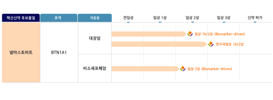 Status of the Nelmastobart pipeline (Source: 안전한 바카라사이트)