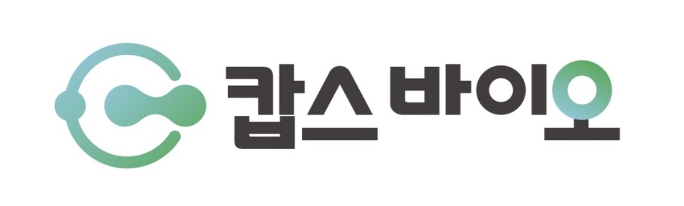 온라인 바카라 사이트