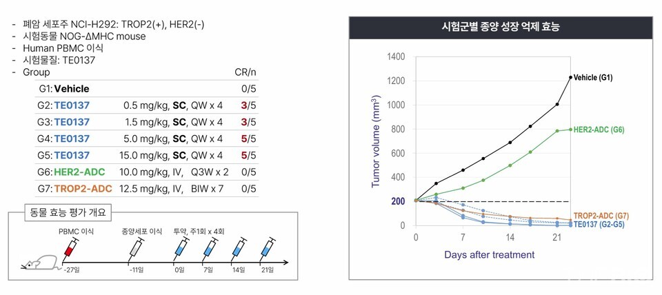 아크젠메이저 바카라사이트 장난감사이온스의 주력 파이프라인인 ‘ARK102(개발코드명)’ 동물실험 결과 (출처 : 아크젠메이저 바카라사이트 장난감사이온스)