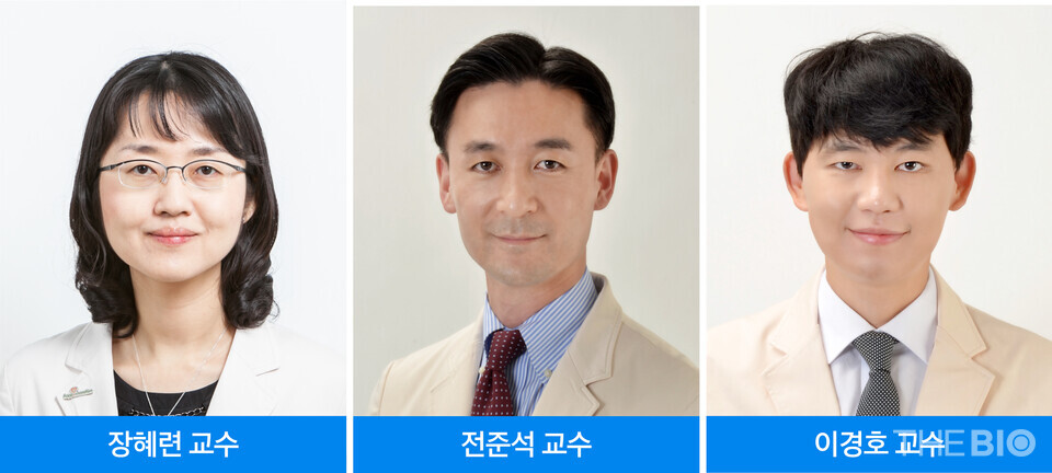 출처 : 강원 랜드 바카라