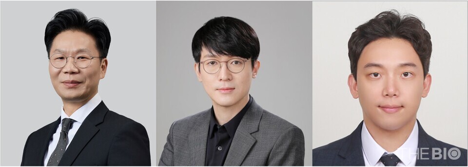 (사진 왼쪽부터) 조일주 바카라 꽁 머니 의대 융합의학교실 교수, 조승우 연세대 생명공학과 교수, 신효근 경북대 전자공학부 교수 (출처 : 바카라 꽁 머니 의과대학)