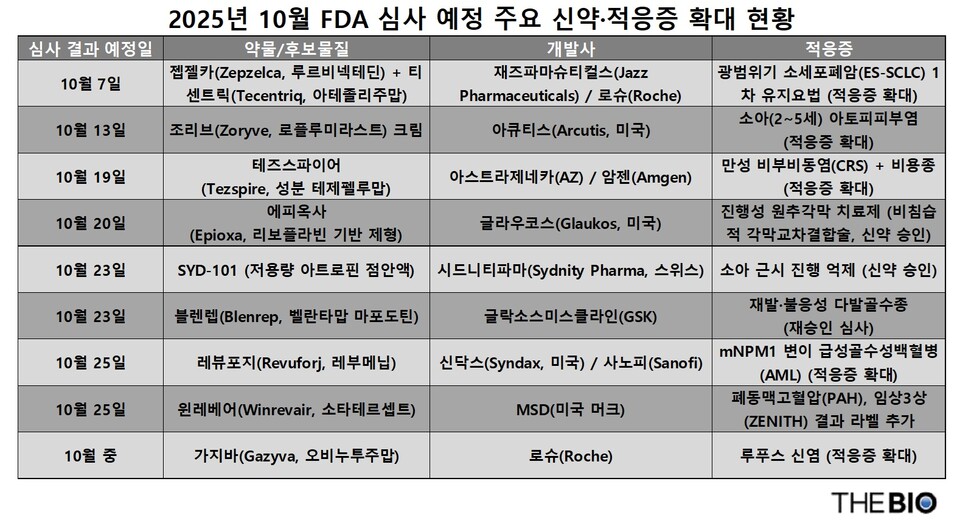 더강원 랜드 바카라 재구성