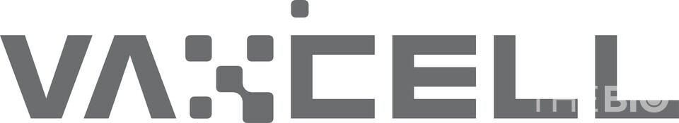 source : 에볼루션 바카라 사이트