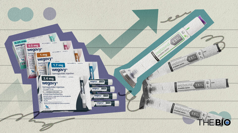 에볼루션 바카라 사이트 '위고비'와 '젭바운드' 그래픽.(더바이오 자료)