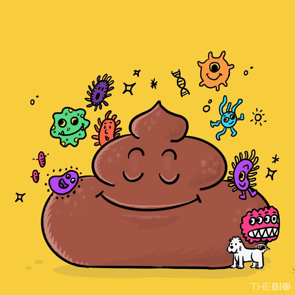 이희태의 '반려미생물' 톡톡 칼럼 이미지(더바이오 자료).