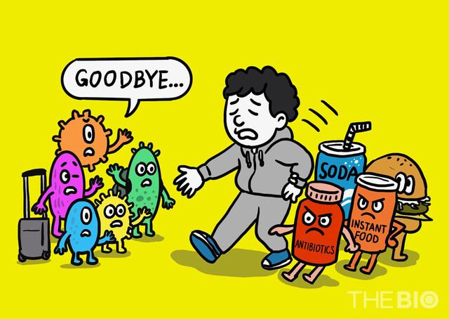 이희태의 '반려미생물' 톡톡 칼럼 이미지(더바이오 자료).