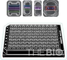 큐리에이터가 개발한 장기칩(organ-on-a-chip) 플랫폼인 ‘vTIME’ 사진. 인간 혈관화 오가노이드 기반으로 전무료 바카라 게임 효능 데이터를 생성해 FDA IND 승인에 활용됐다. (출처 : 큐리에이터)