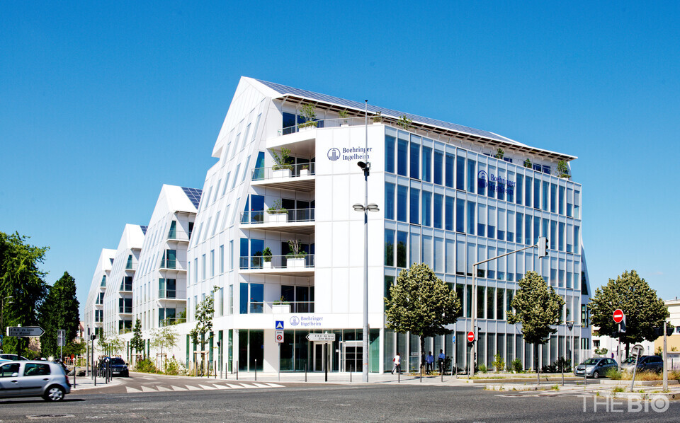 출처 : 에볼루션 바카라 사이트인겔하임