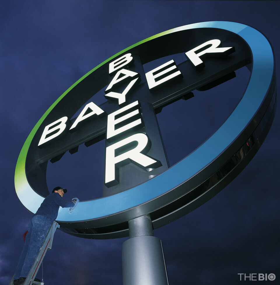 출처 : 해외 바카라사이트