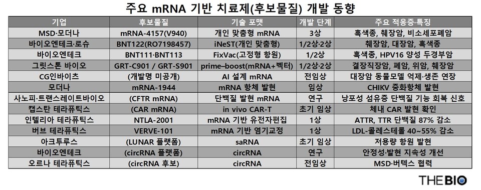  출처 : 더무료 바카라 게임 재구성