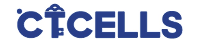 스피드 바카라 사이트