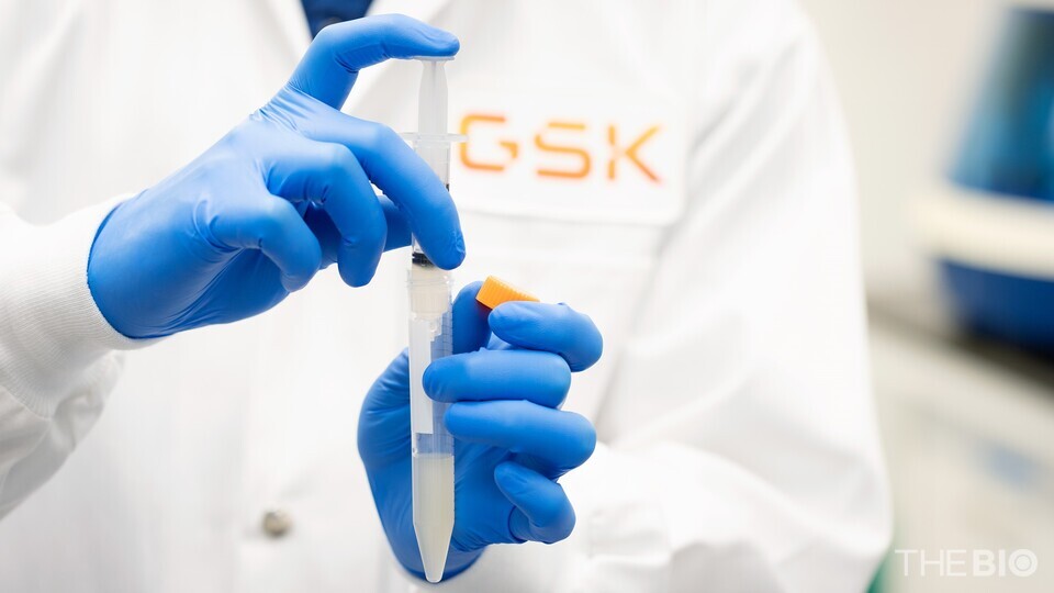 출처 : GSK