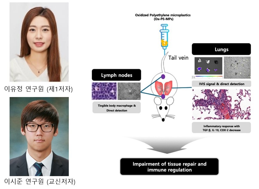 논문 저자 및 도식화한 우리카지노 바카라사이트과정 결과 (출처 : 케이메디허브)