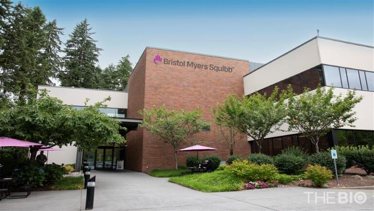 출처 : 브리스톨마이어스스퀴브(바카라사이트 주사위)