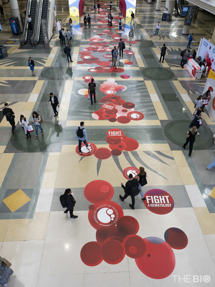 출처 : 미국혈액학회(ASH 2025)