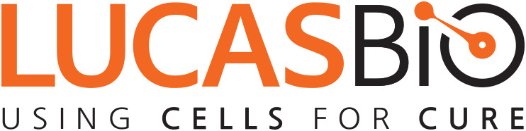 출처 : 루카스온라인 바카라사이트