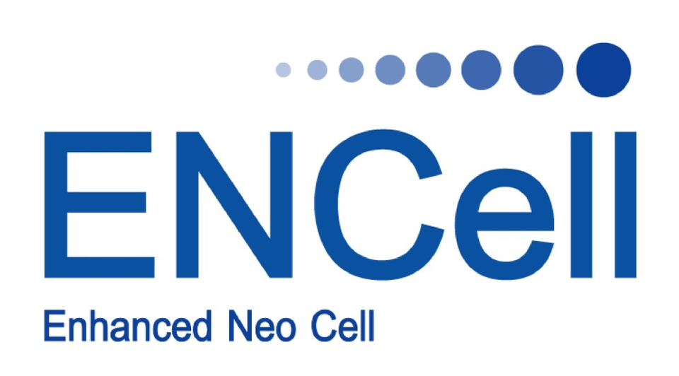 出典: オンラインカジノ登録ボーナス