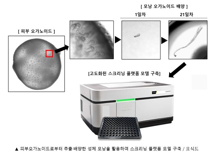 강스템바이오텍의 모식도 (출처 : 강스템바이오텍)