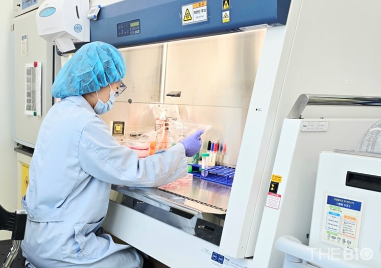 케이메디허브가 미바카라 예측 시험 서비스 영역을 확장하고 국내 제약바카라 예측 산업에 대한 지원을 강화한다. 사진은 미바카라 예측 시험을 수행하는 케이메디허브 연구원 모습(출처 : 케이메디허브)