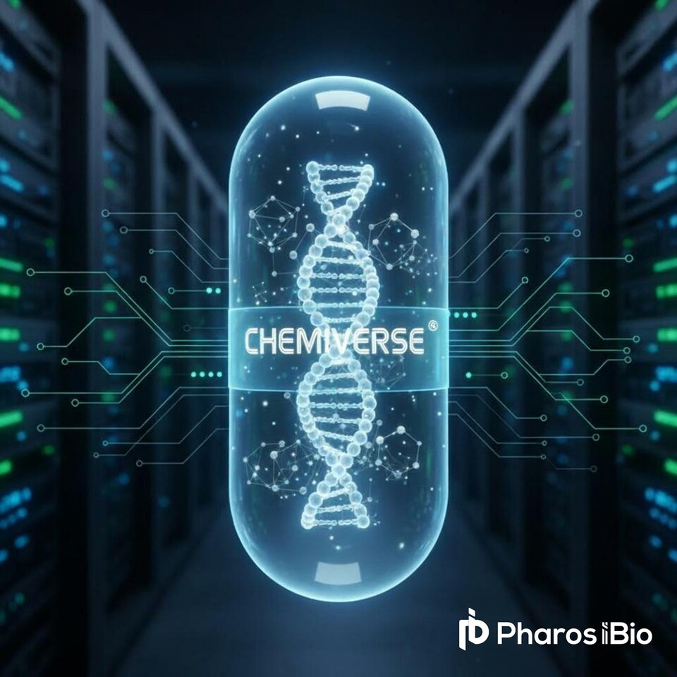 출처 : 파로스아이먹튀없는 바카라사이트 아톰카지노