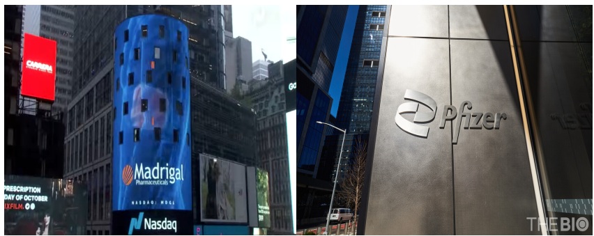 출처 : 더바이오 DB