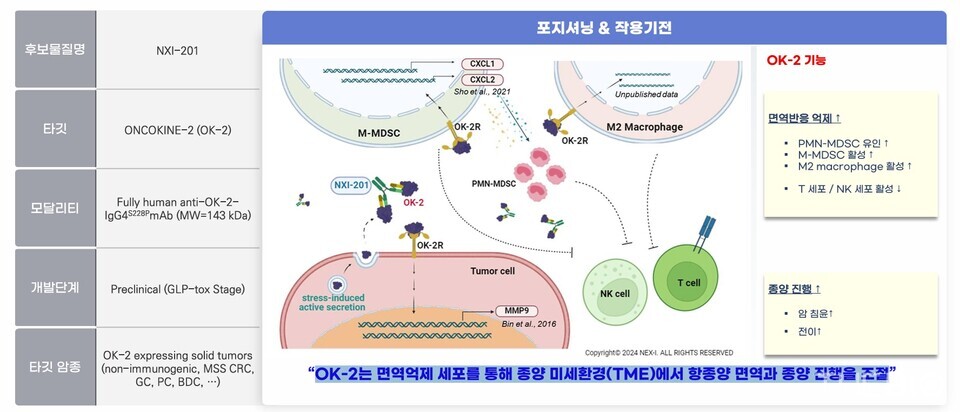 Overview of the 바카라 토토 사이트201 (development code) pipeline. 바카라 토토 사이트201 secured Investigational New Drug (IND) approval from MFDS for a Phase 1/2 clinical trial in late 2025. (Source: NEX-I)