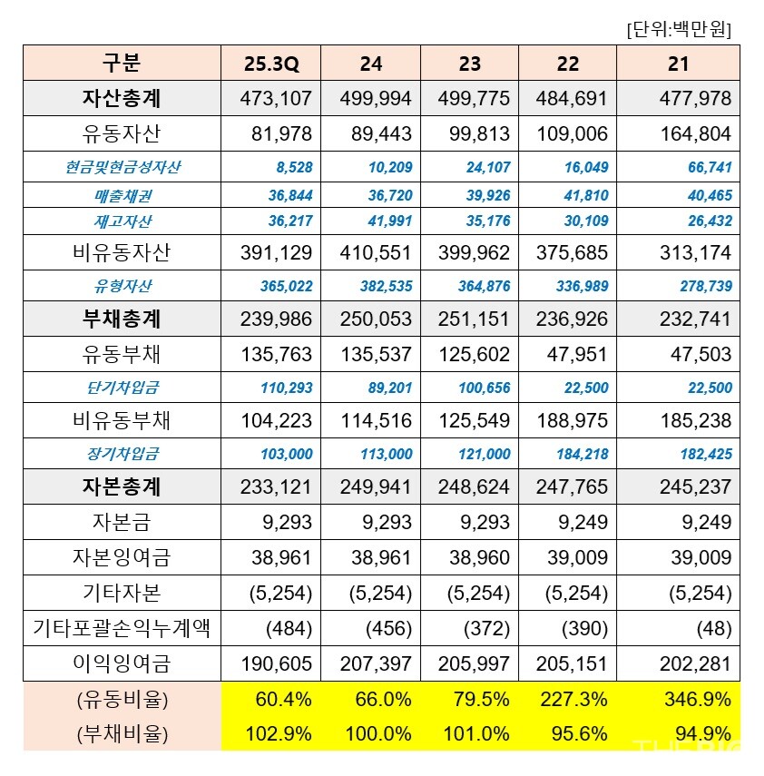 이연토토 바카라 사이트의 연도별 재무상태표 현황. 연결기준 (출처 : 금융감독원 전자공시, 더바이오 재구성)